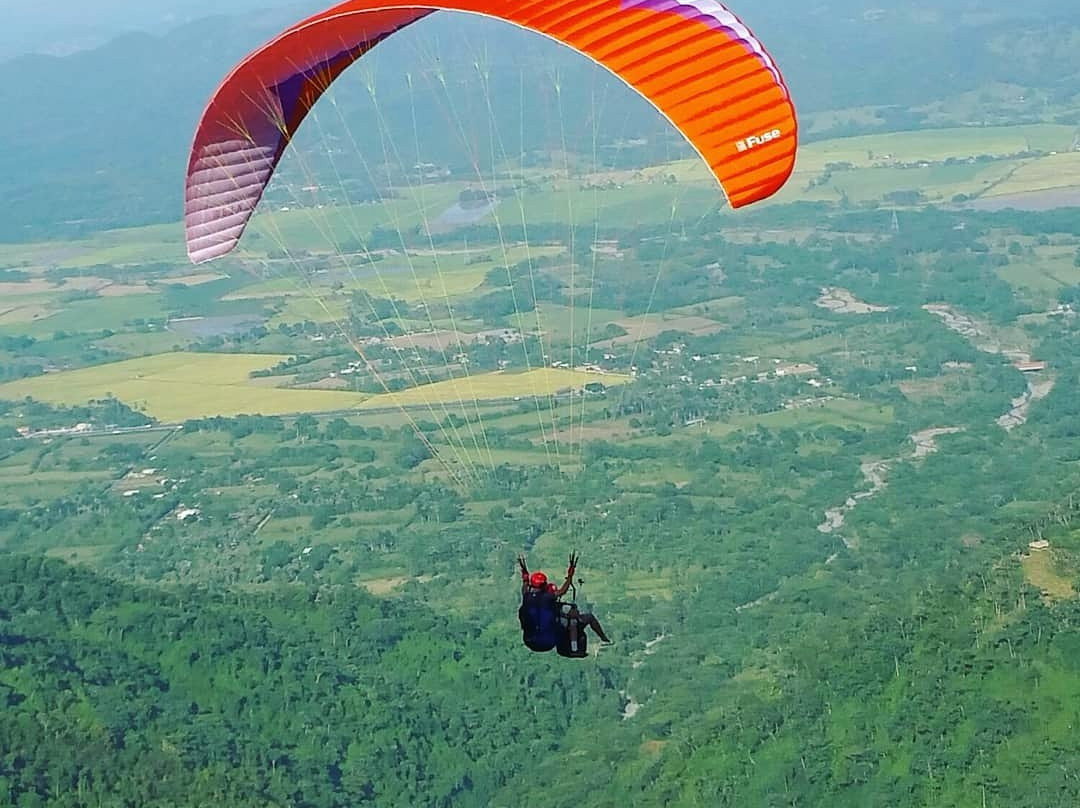 Eco parapente RD景点图片