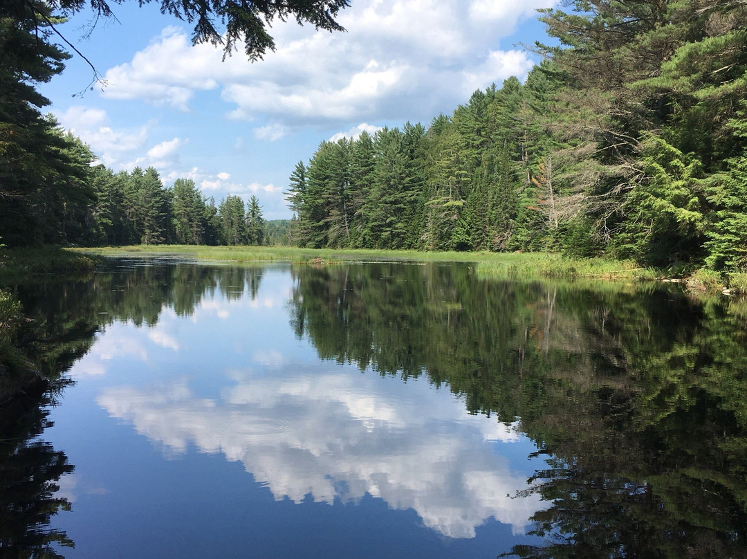 Haliburton旅游攻略图片