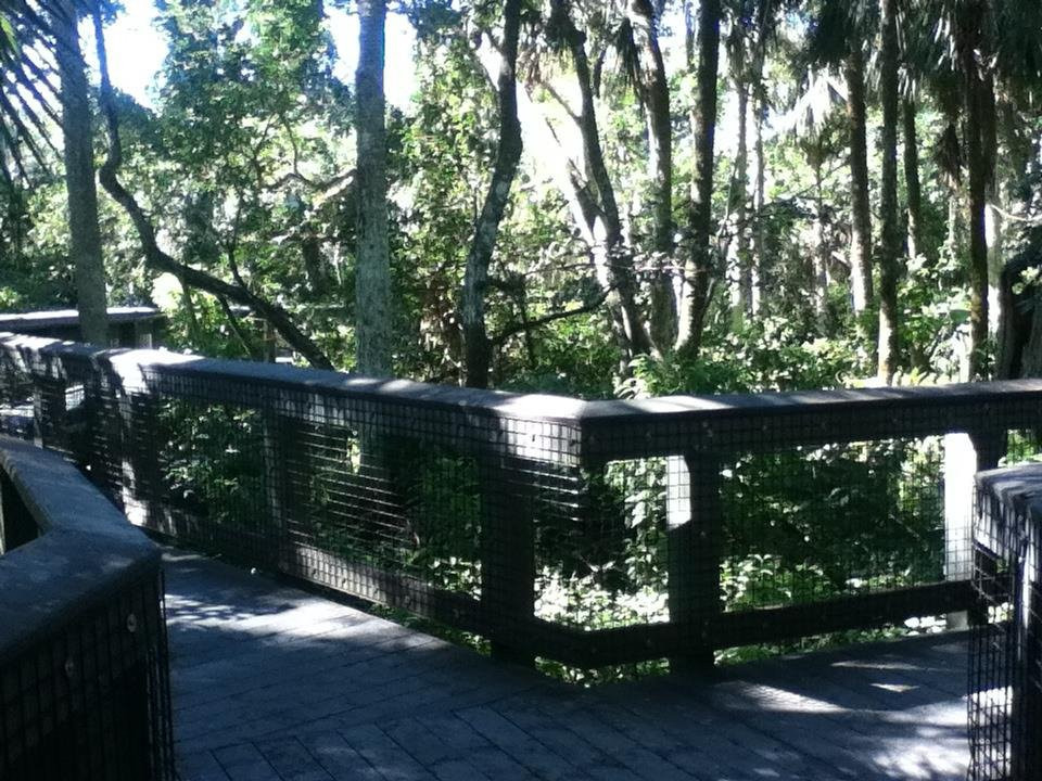 科勒尔斯普林斯旅游攻略图片