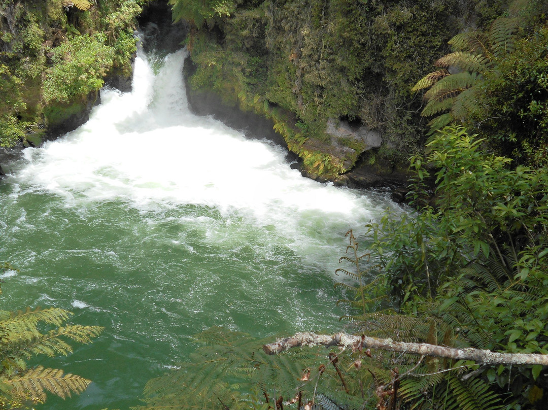 Okere Falls旅游攻略图片