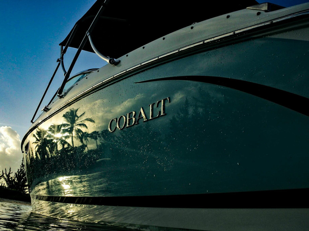 Cobalt Custom Charters-乔治城必去景点