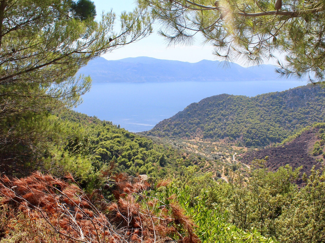 Agios Georgios酒店住宿-Hotel Apollon