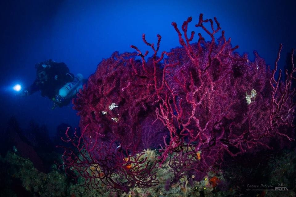 Oltremare Diving Center-纳尔德奥必去景点