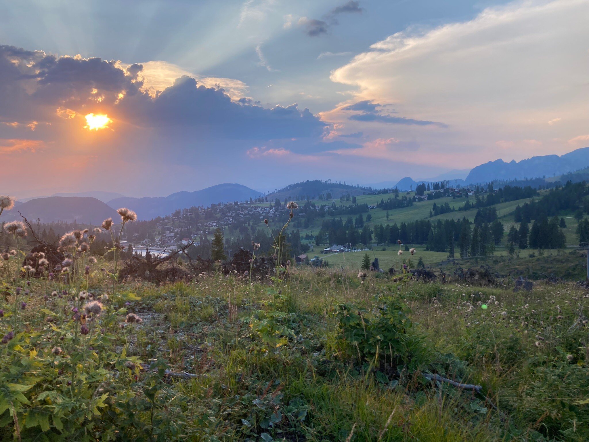 Sporthotel Passo Carezza-官方