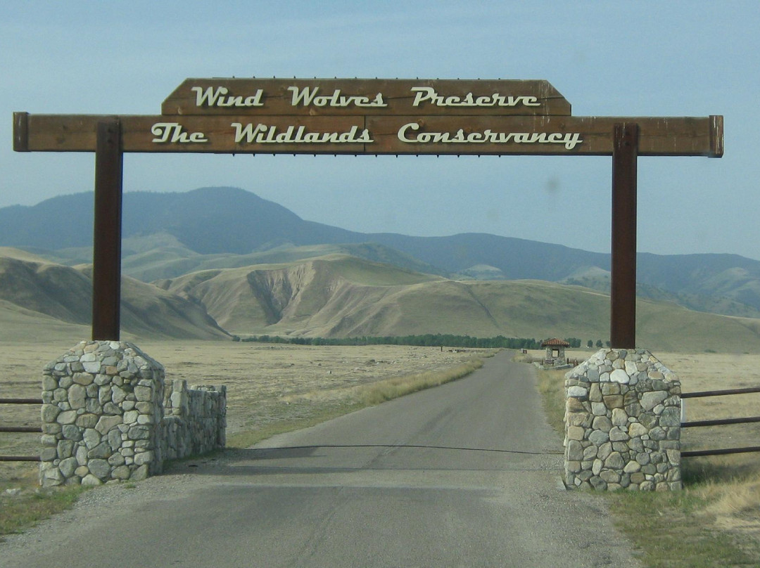 Wind Wolves Preserve