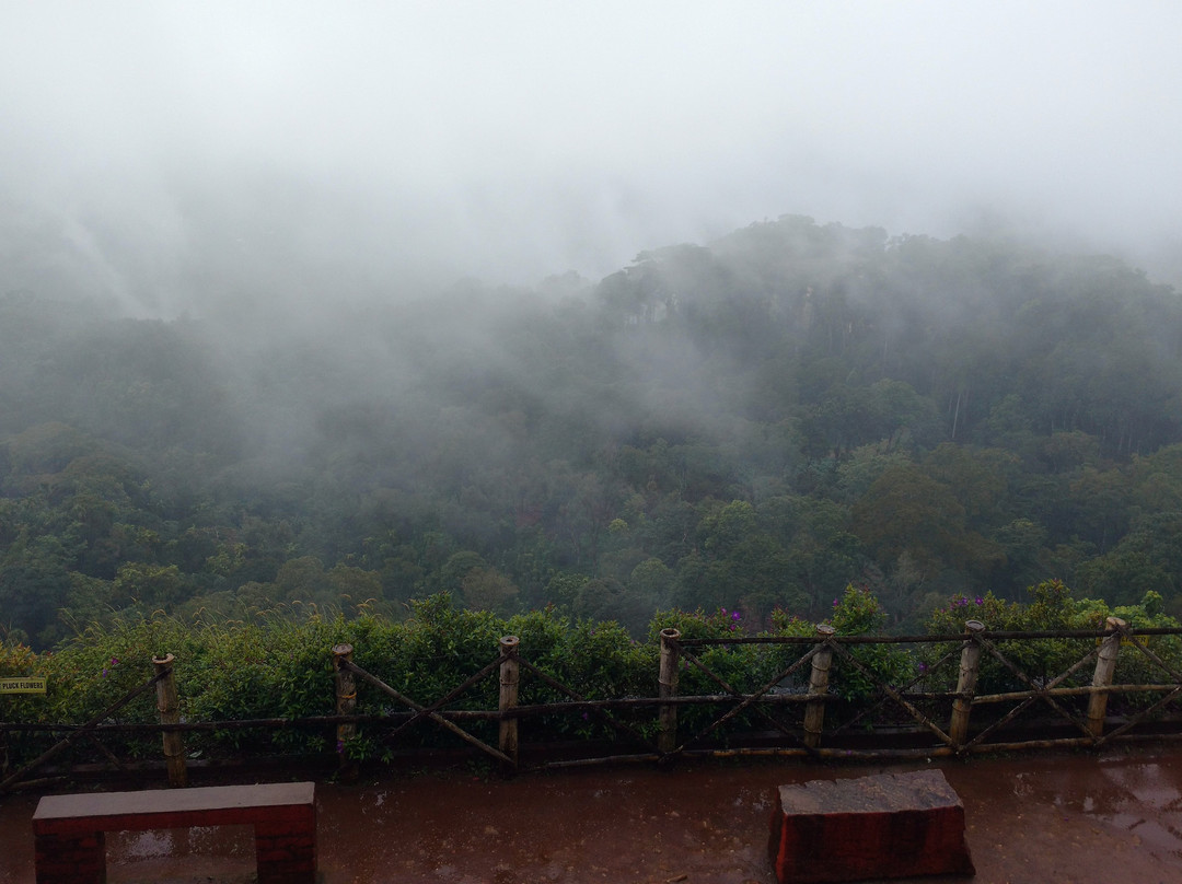 Kailasappara View Point景点图片