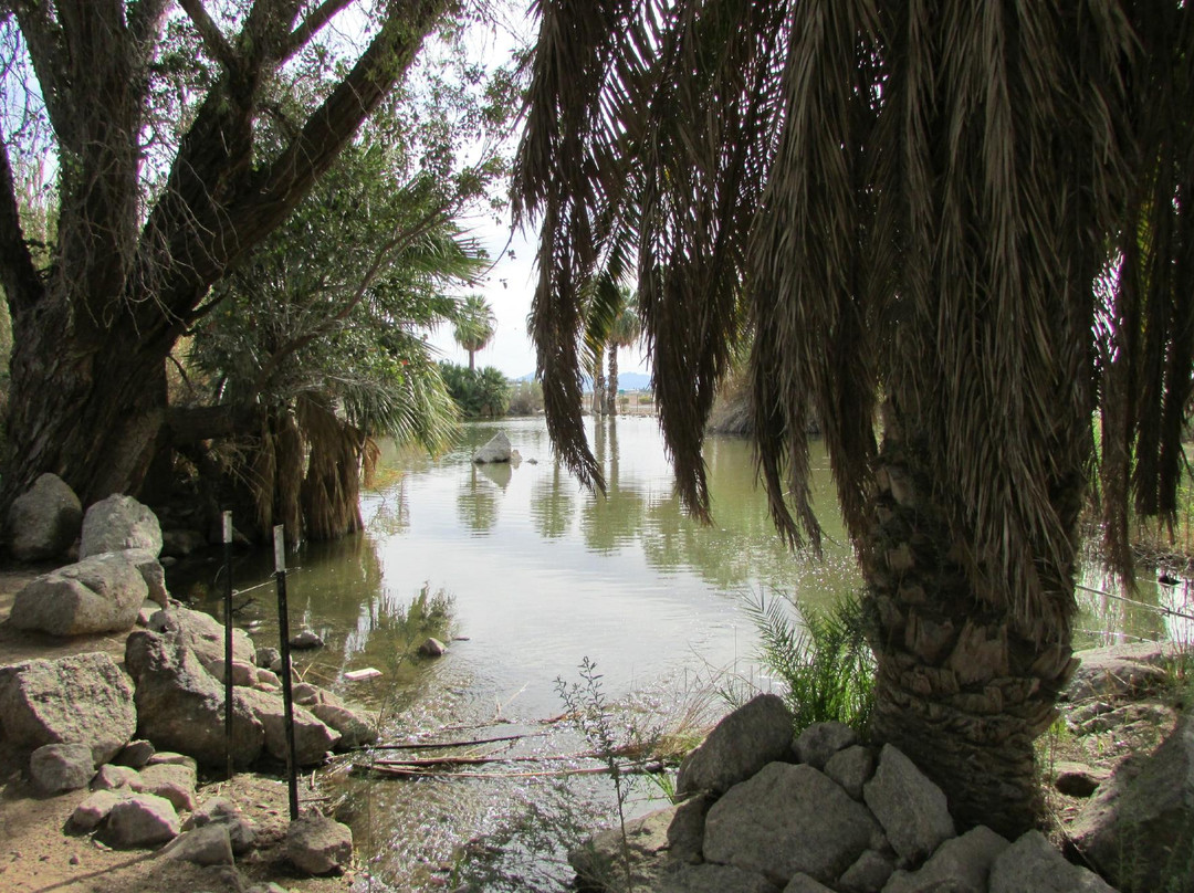 Yuma Conservation Garden