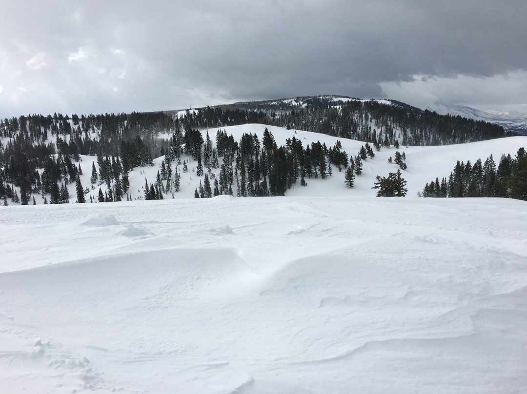 Whisper Ridge Cat Skiing景点图片