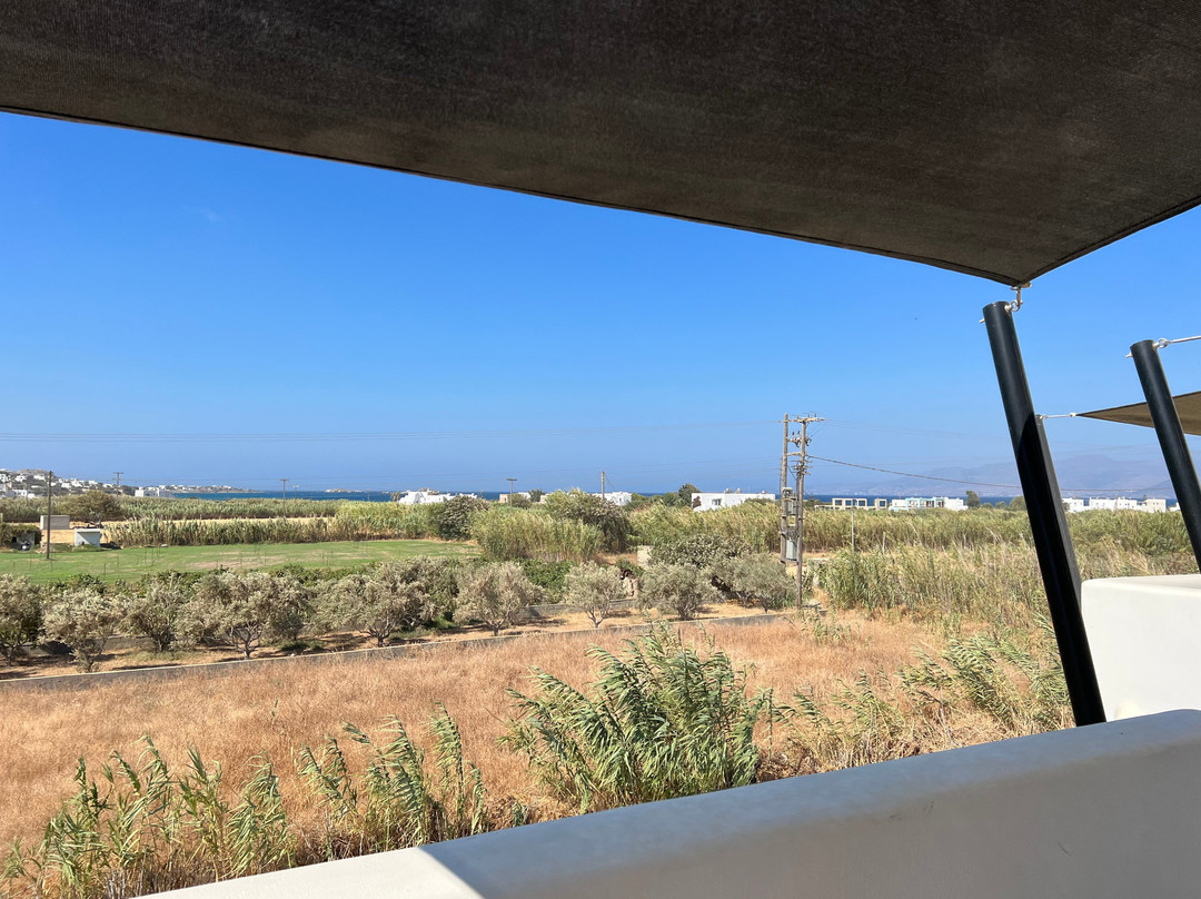 Rodillo Apartments