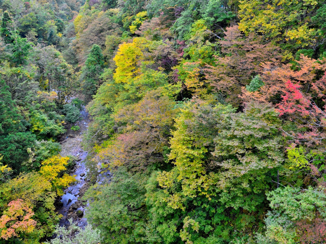 汤泽市旅游景点-Sanzugawa Canyon