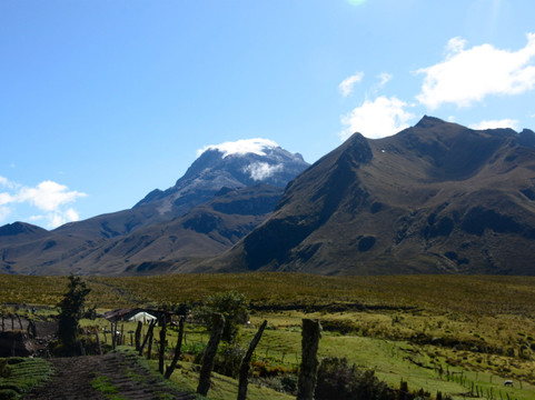 Pantagora Experience