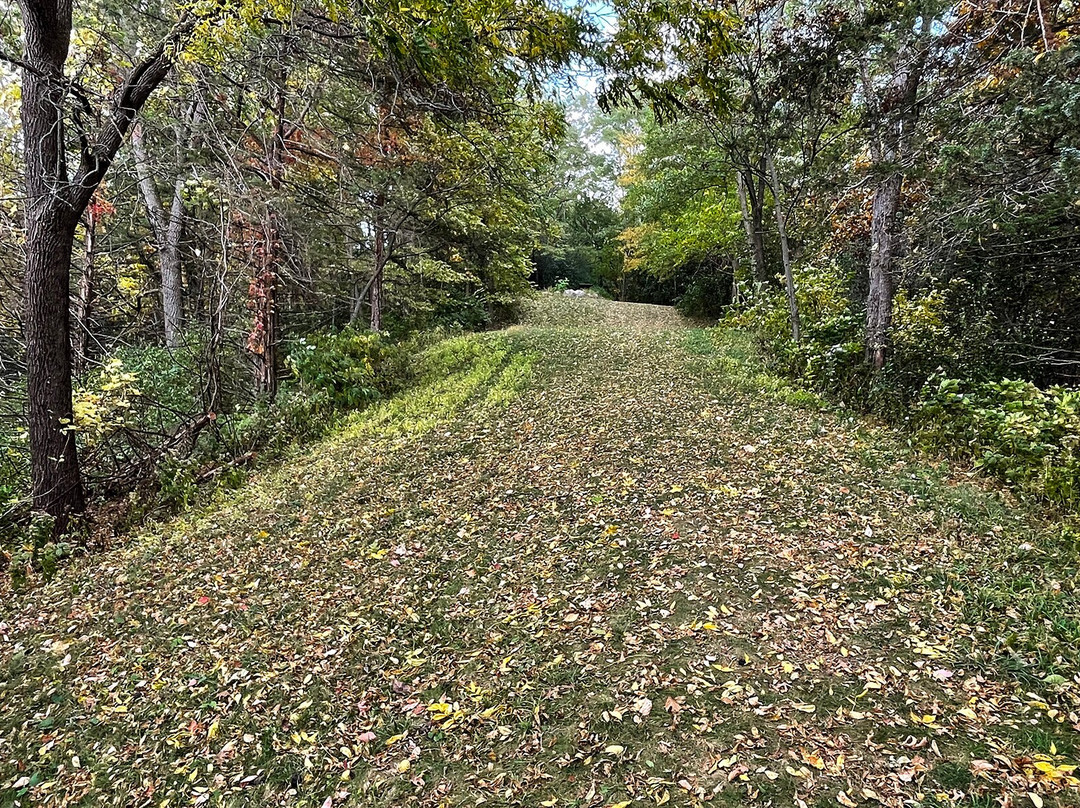 Little Bluff Mounds Trail景点图片