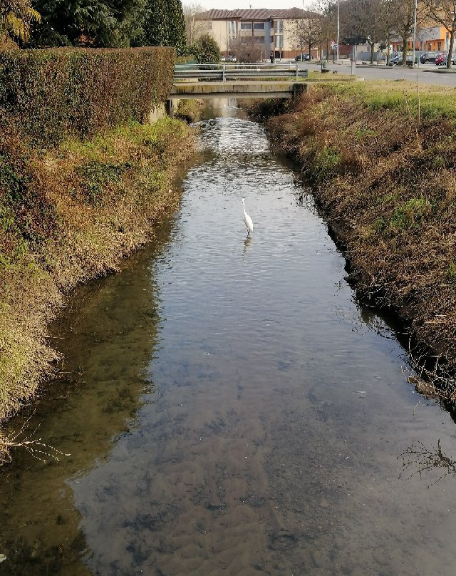 Parco del Lambro Meridionale e del Ticinello-Siziano必去景点