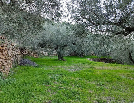 Minas Del Agua Y Del Cavall-Artana必去景点