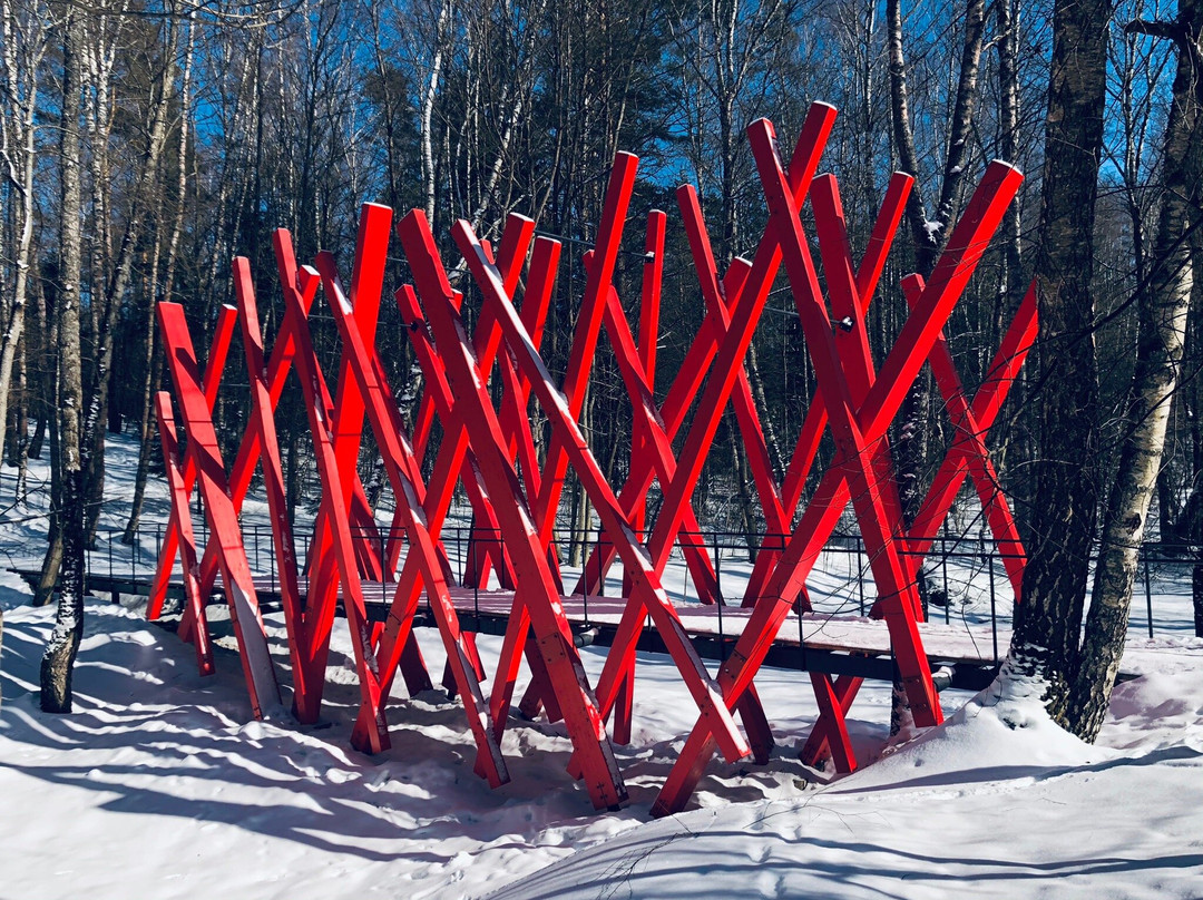 Nikola-Lenivets Art Park景点图片