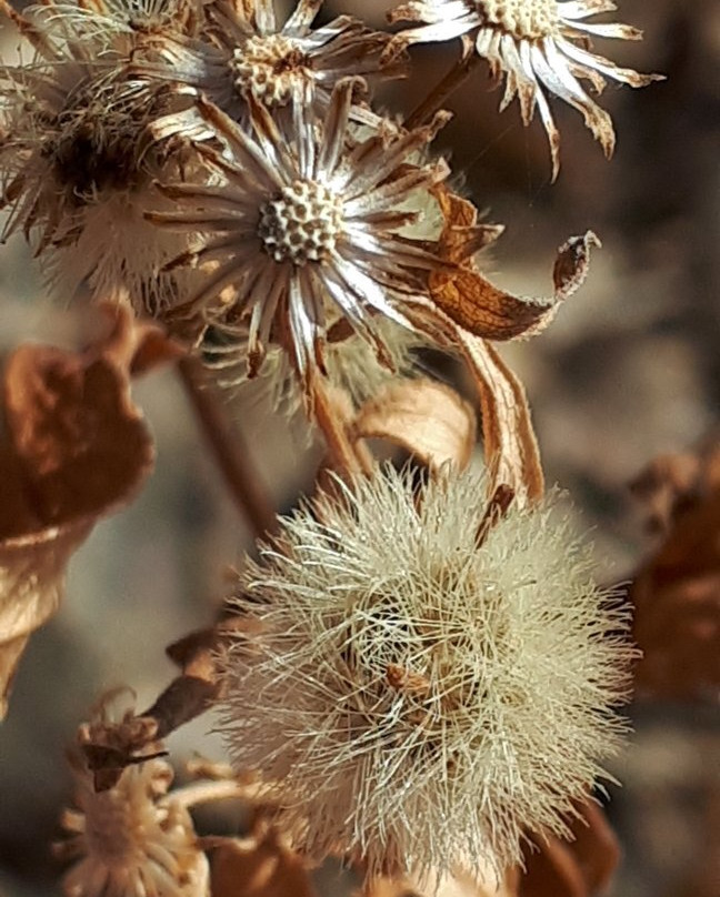 McBeth House-温尼伯必去景点