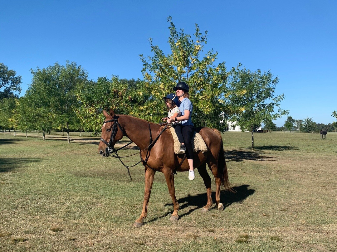 Estancia La Sofia主图