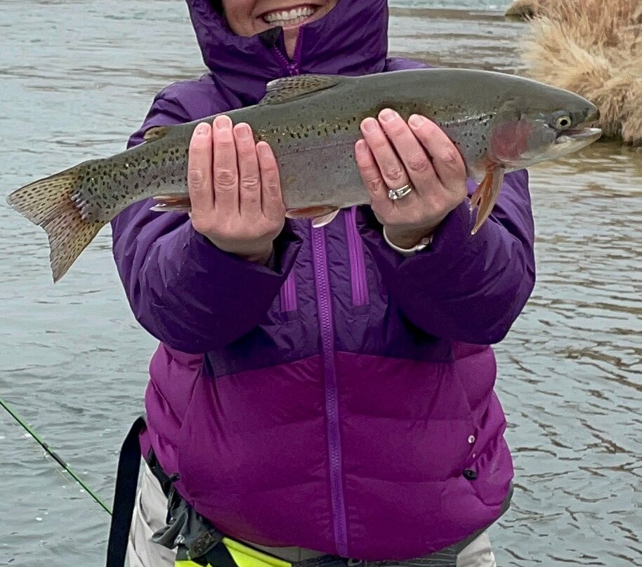 About Trout Fly Fishing-Chama必去景点