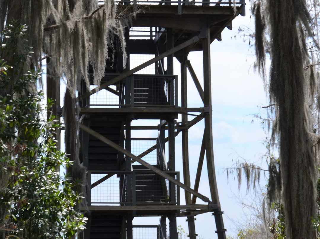 Chesser Island Homestead/Boardwalk-Folkston必去景点
