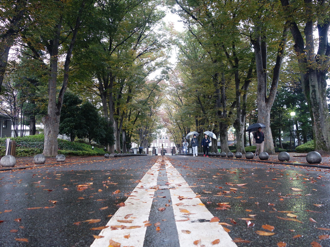 Seikei University-武藏野市必去景点