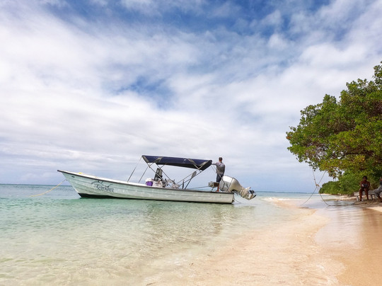 Screamer Boat Tours-多巴哥必去景点
