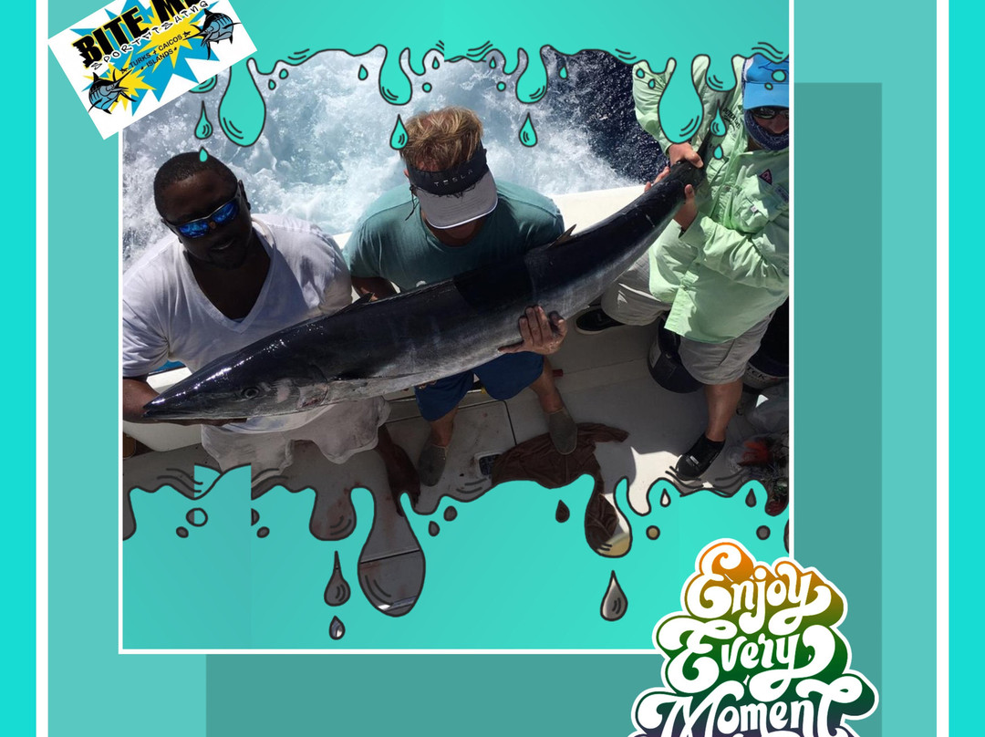 BITE ME Sport Fishing-Turtle Cove必去景点