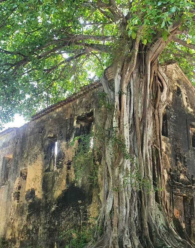 Ruins of the Old Church of Bomsucesso-Lucena必去景点