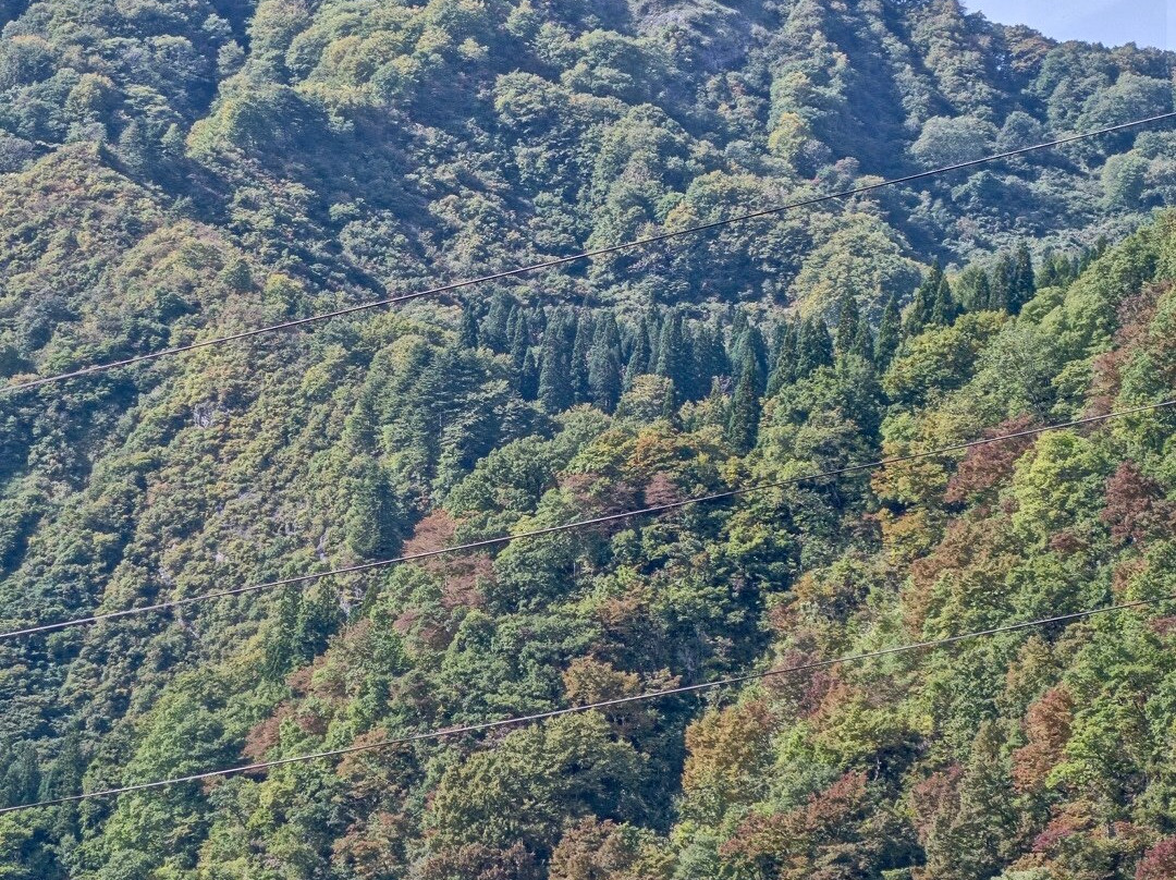 Tadamisen Daihachi Kyoro Bridge-只见町必去景点