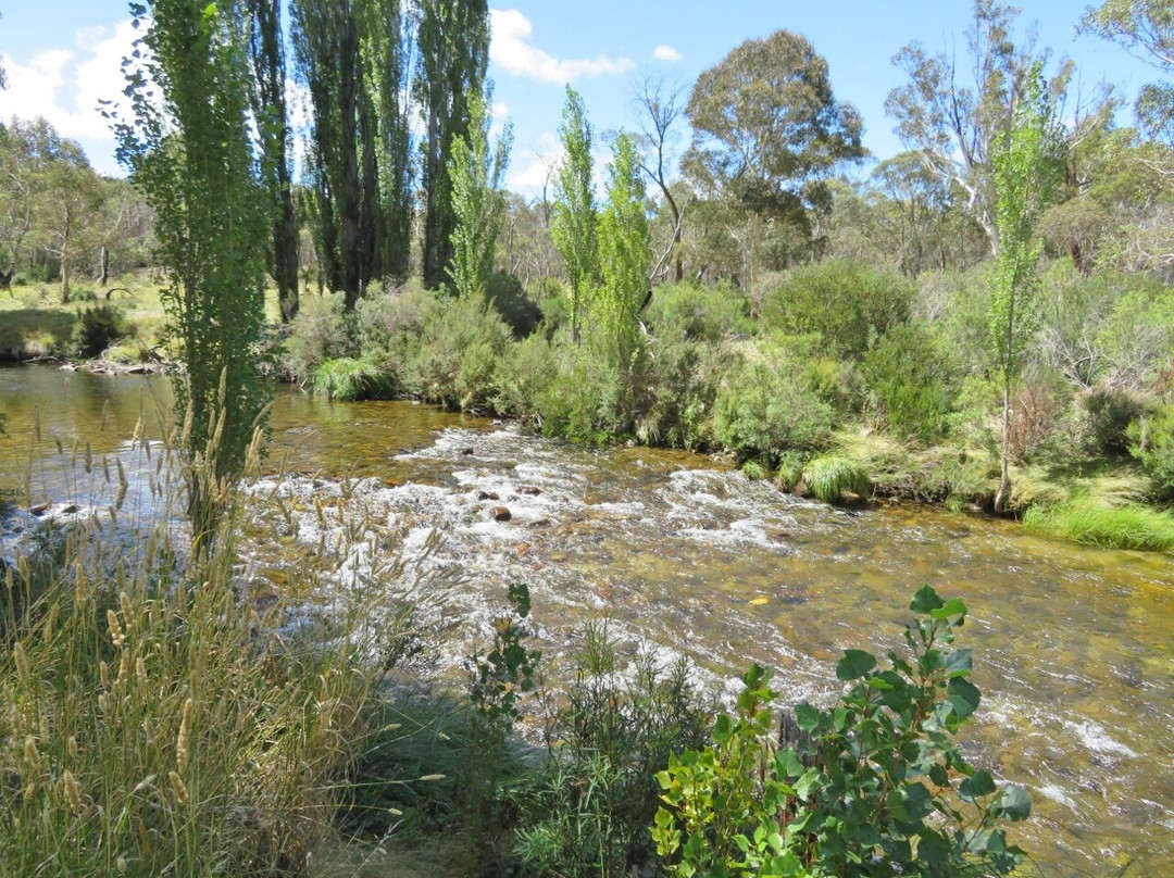 Gaden Trout Hatchery景点图片