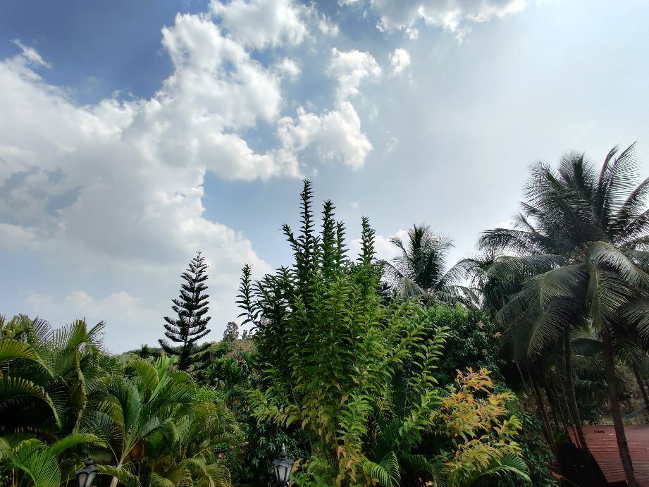 Nisarg Resort-官方