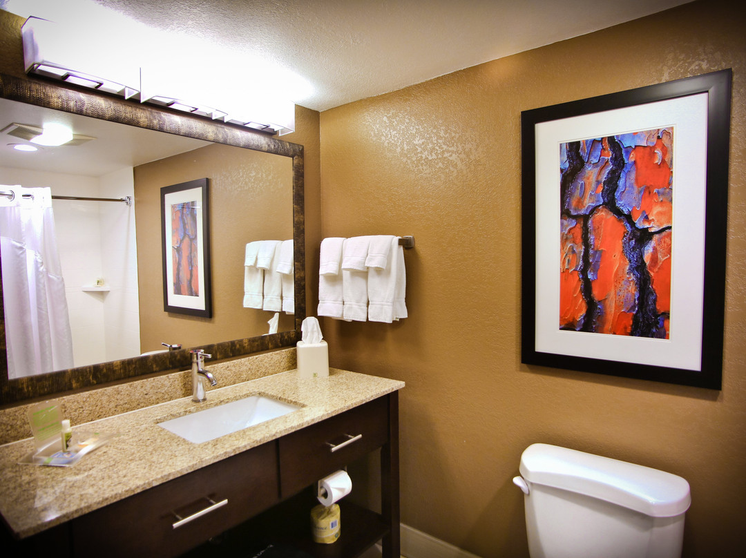 Holiday Inn & Suites La Crosse - Downtown by IHG主图