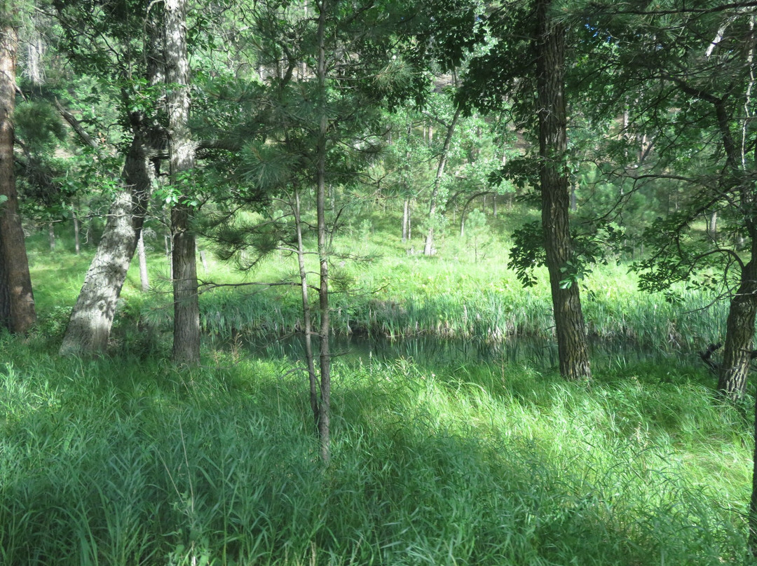 Grace Coolidge Creek-卡斯特必去景点