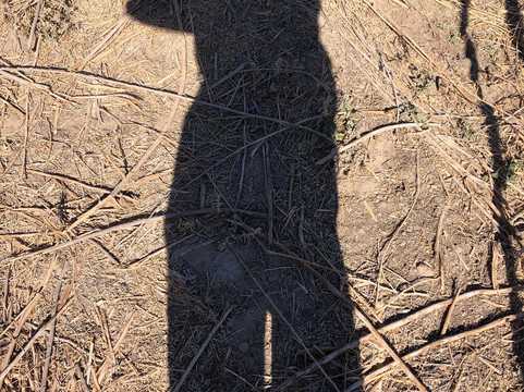 Rio Bosque Wetlands Park-Socorro必去景点