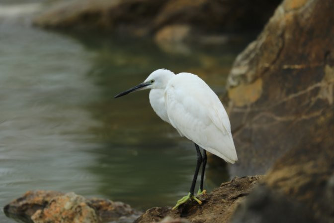 Riserva Naturale Lago di Montepulciano-蒙特普尔恰诺必去景点