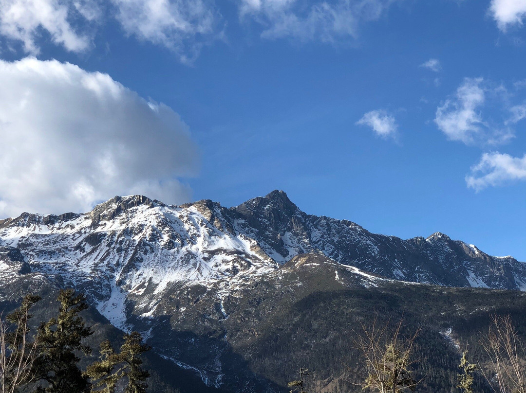 白马雪山国家级自然保护区景点图片