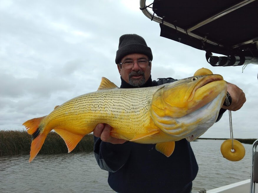 Delta Aventura-布宜诺斯艾利斯必去景点