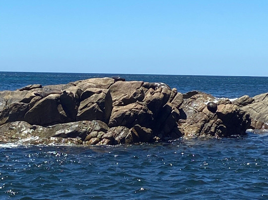 Jet Adventures-戴士柏必去景点