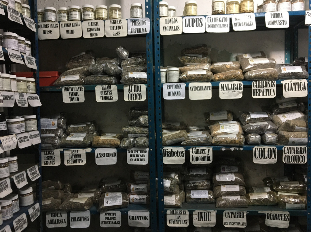 Centro Botánico Naturista De Izamal La Melisa