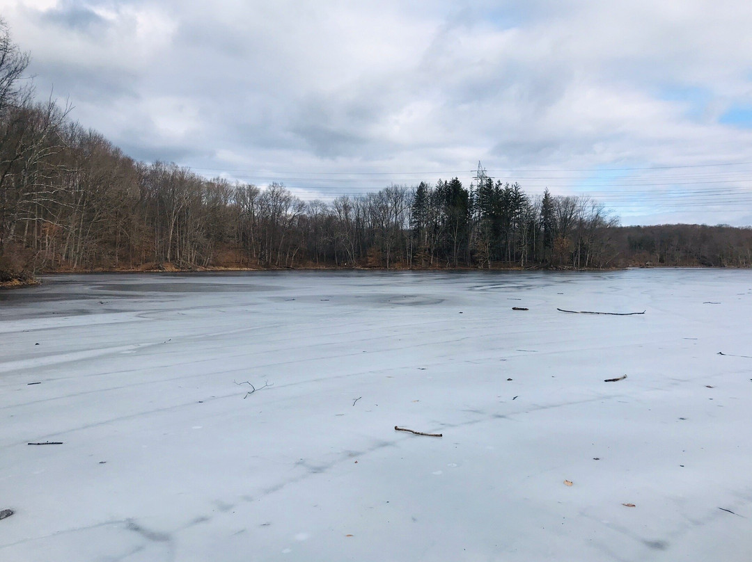 Teatown Lake Reservation景点图片
