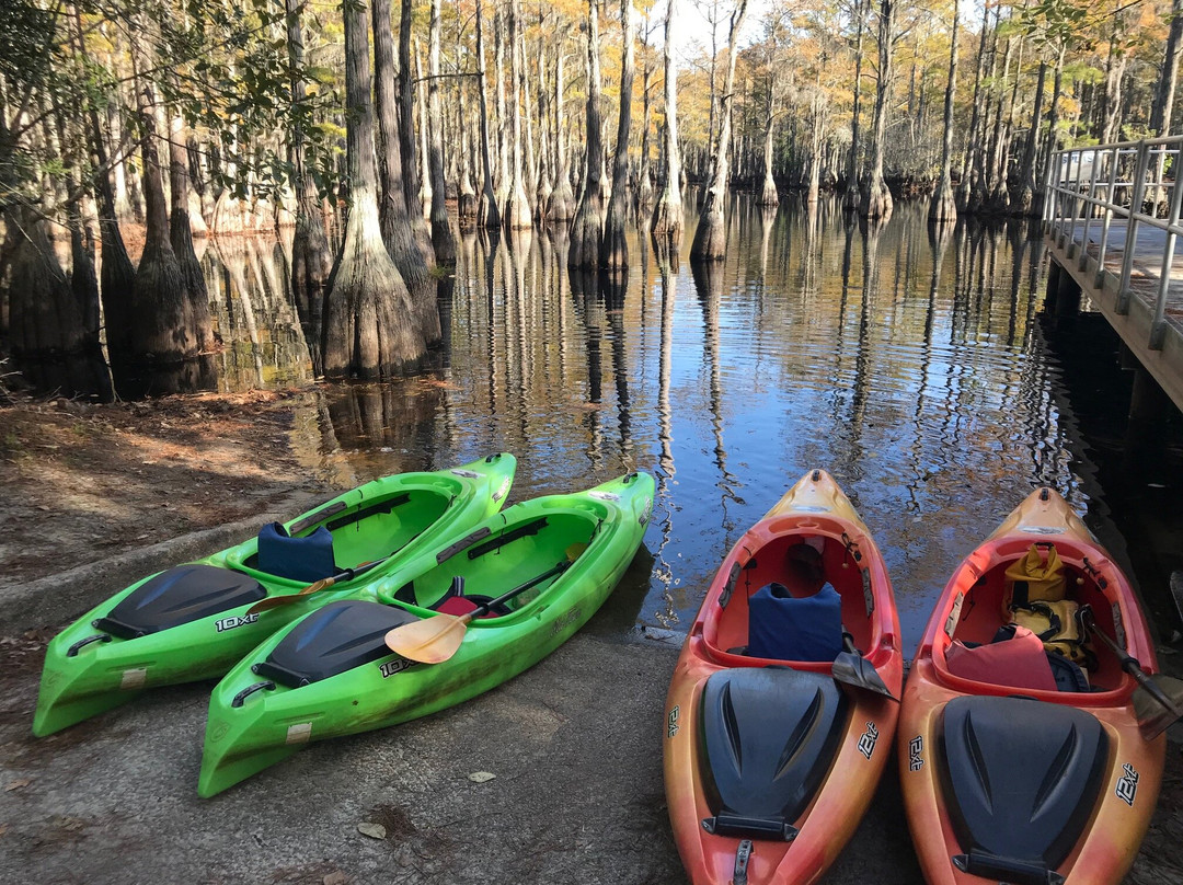 Mill Pond Kayak, LLC-Twin City必去景点