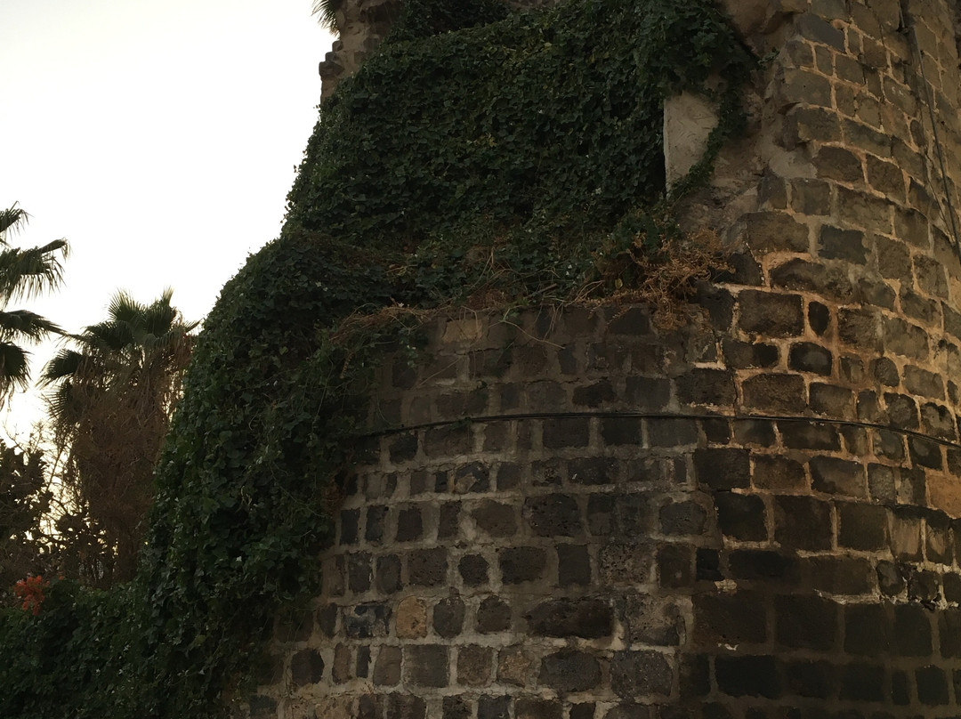 Crusader Fortress Ruins-提比利亚必去景点