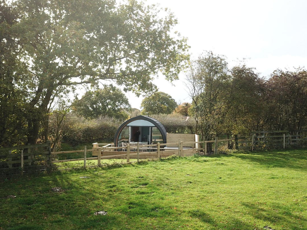 Park Hall Pods