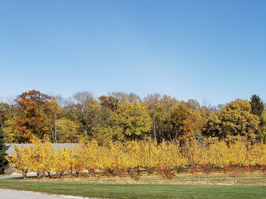 Twin Oast Brewing-克林顿港必去景点