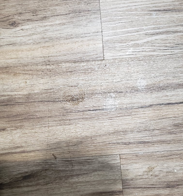 La Quinta Inn & Suites by Wyndham Mathis主图