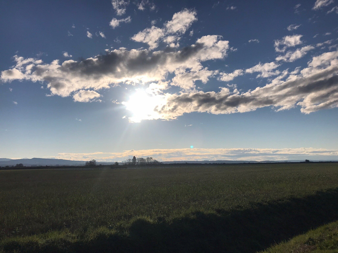 Skagit Wildlife Area景点图片