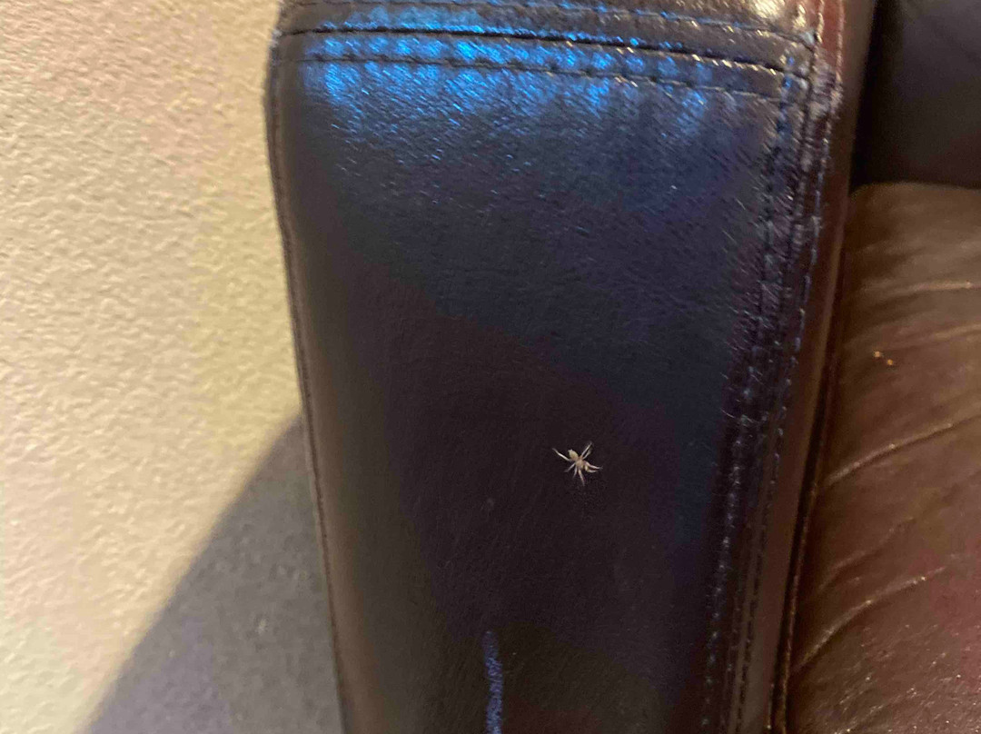 Ramada by Wyndham Torrance主图