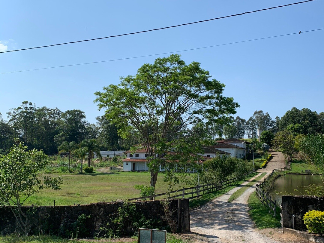 Hotel Fazenda Bela Vista主图