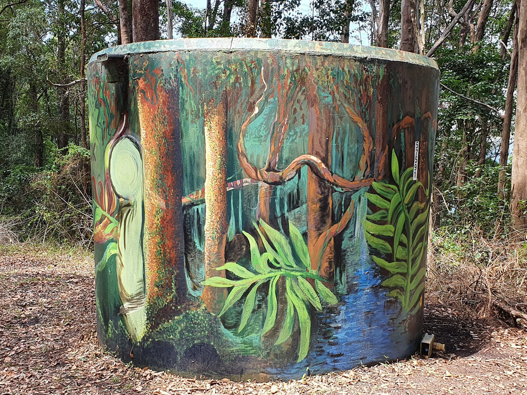 Welcome to Springbrook Watertank Art & Winburn Lookout景点图片