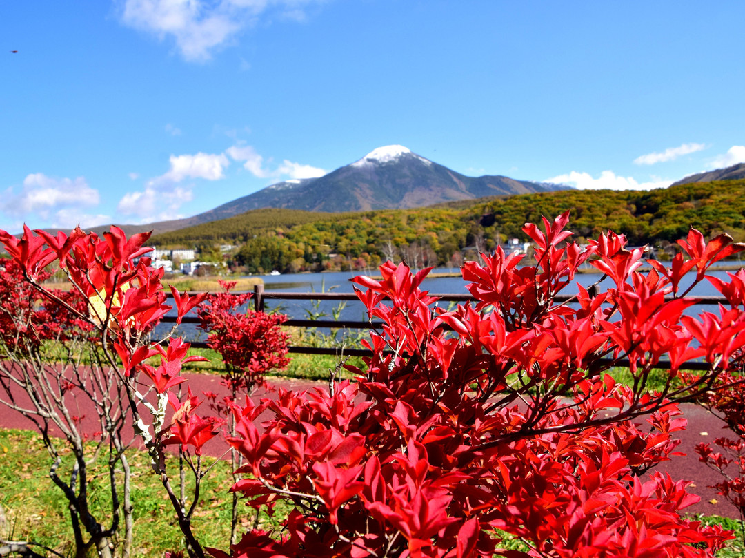 Lake Shirakaba-茅野市必去景点