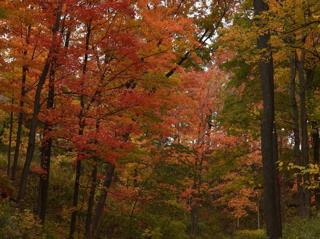 Openlands Lakeshore Preserve-Highland Park必去景点